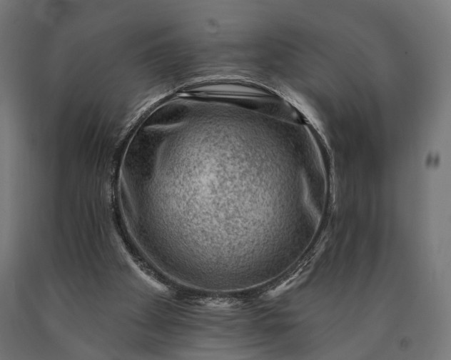 X0000090730105200708031533