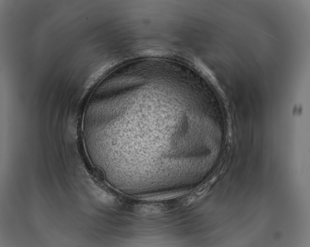 X0000090730106200708031533