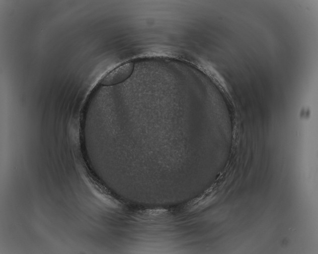 X0000090730108200708031532