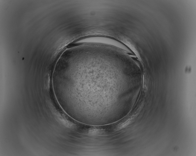 X0000090730109200708031532