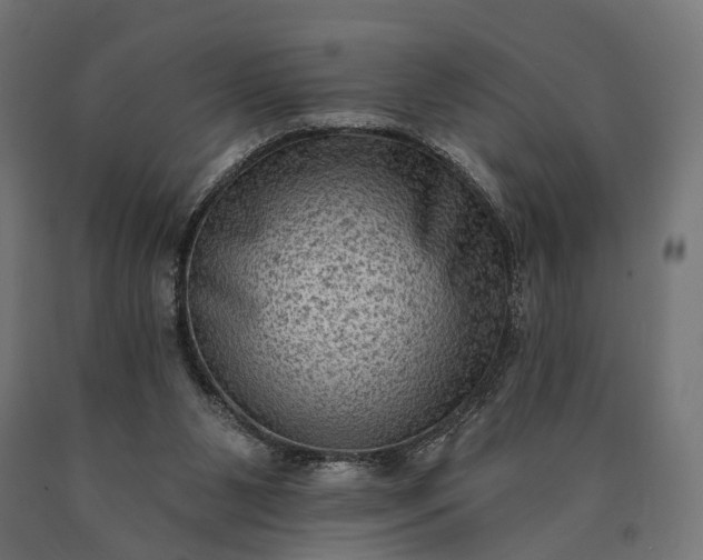 X0000090730111200708031532