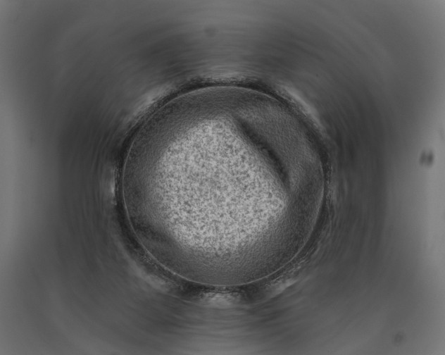 X0000090730115200708031532