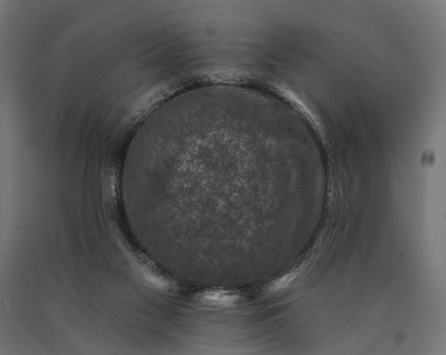 X0000090730117200708031532