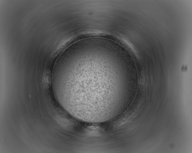 X0000090730119200708031532