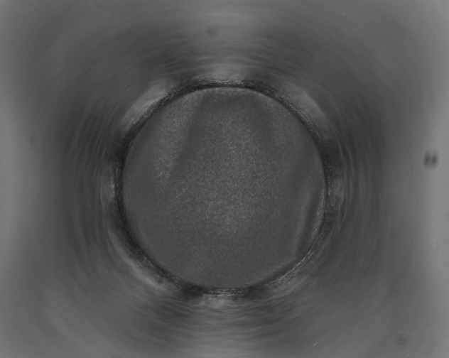 X0000090730120200708031532