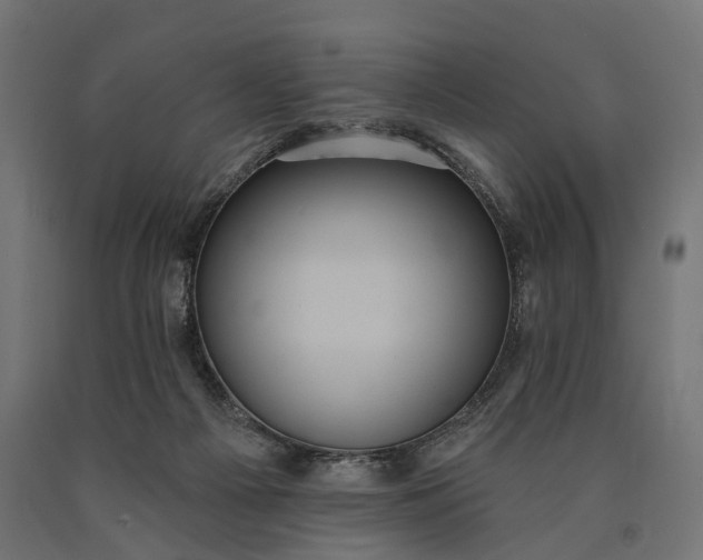 X0000090730121200708031532