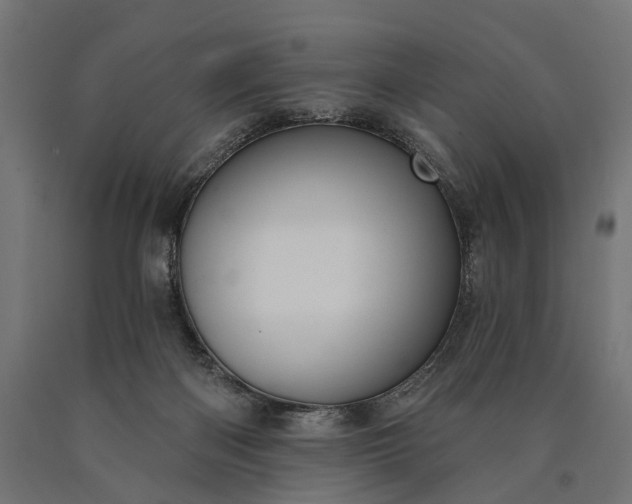 X0000090730122200708031532