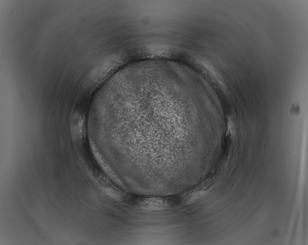 X0000090730123200708031532