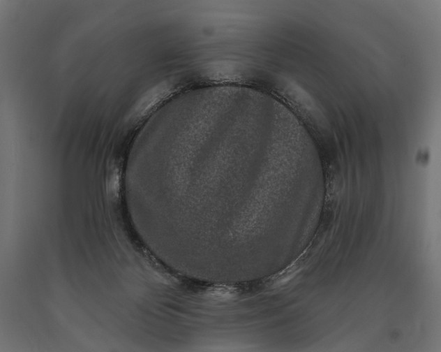 X0000090730124200708031532