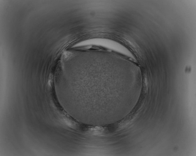 X0000090730125200708031532