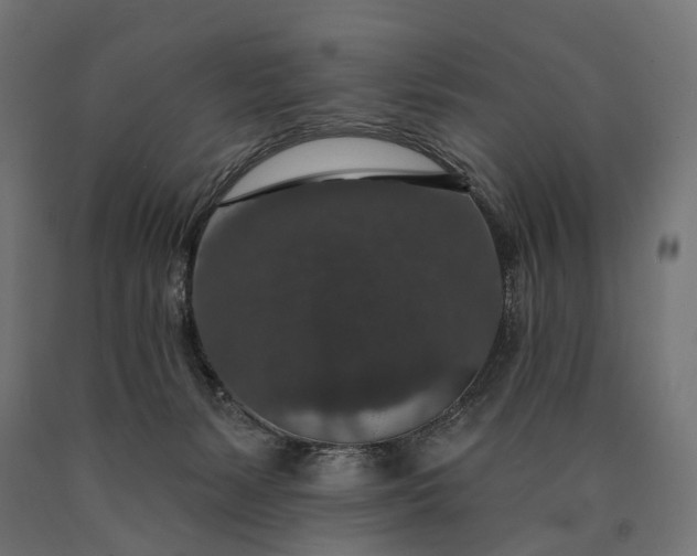 X0000090730127200708031532