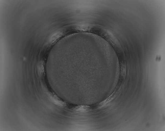 X0000090730128200708031532