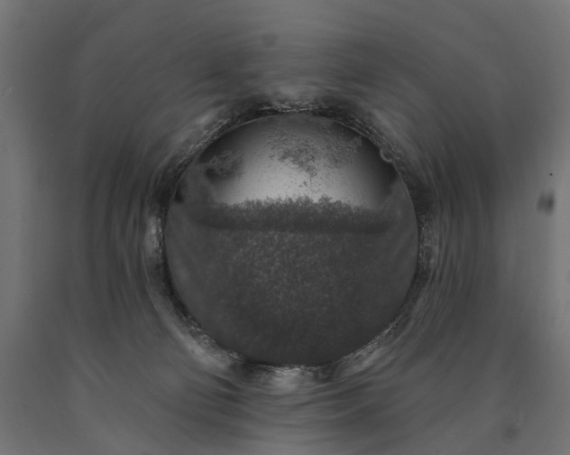 X0000090730130200708031532