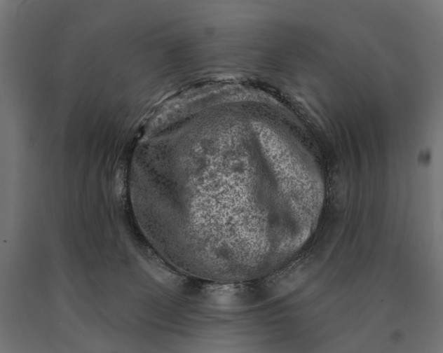 X0000090730131200708031532