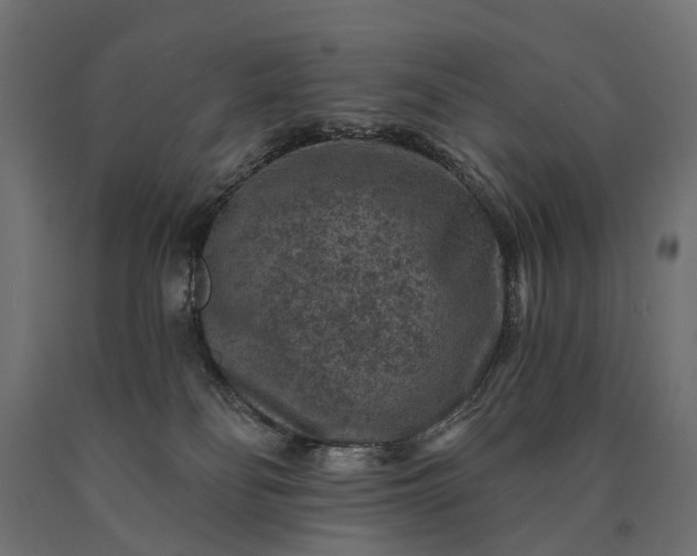 X0000090730134200708031532