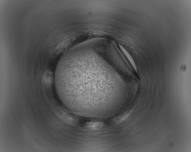 X0000090730135200708031532