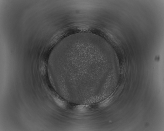 X0000090730136200708031532