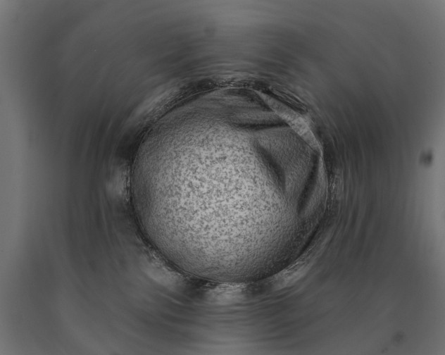 X0000090730138200708031532