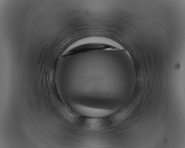 X0000090730139200708031532