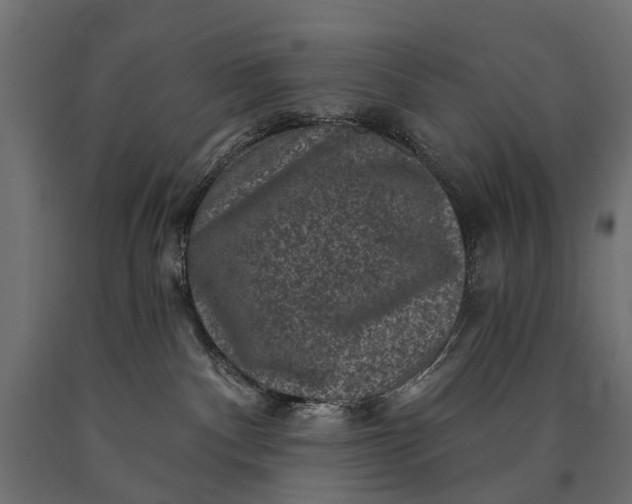 X0000090730140200708031532