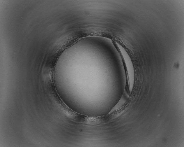 X0000090730141200708031532