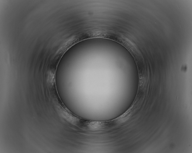 X0000090730142200708031532