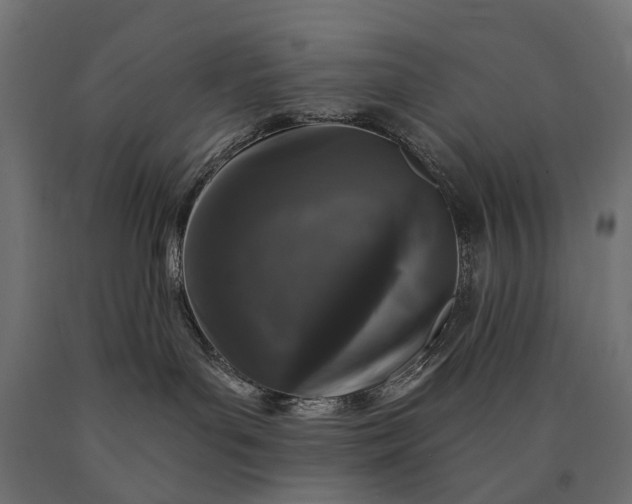 X0000090730143200708031532