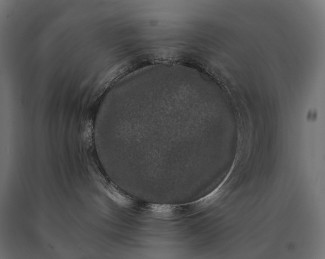 X0000090730144200708031532