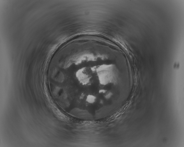 X0000090730145200708031531