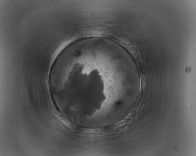 X0000090730147200708031531