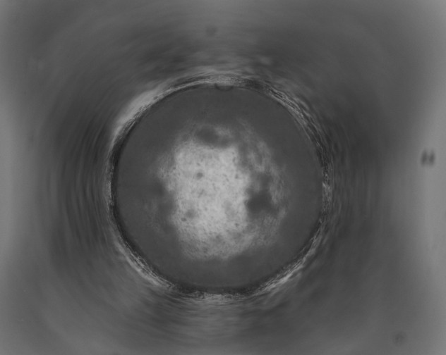 X0000090730149200708031531