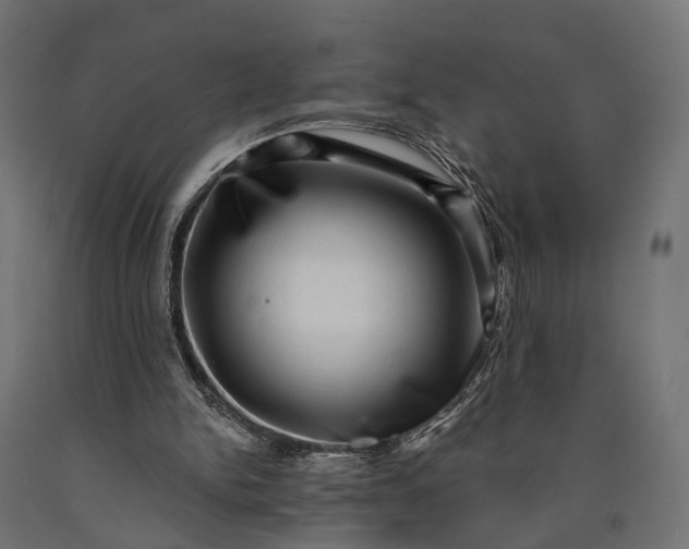 X0000090730150200708031531