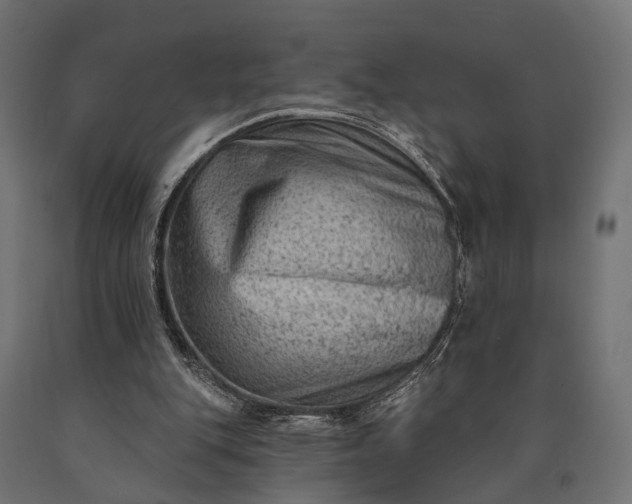 X0000090730151200708031531