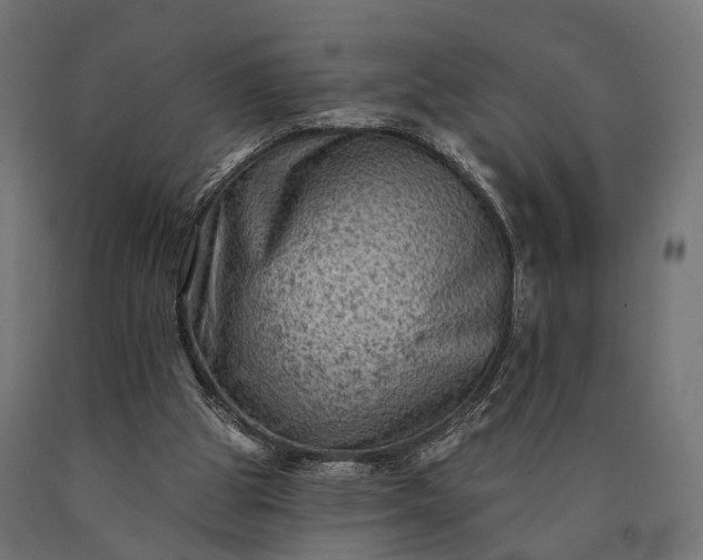 X0000090730153200708031531