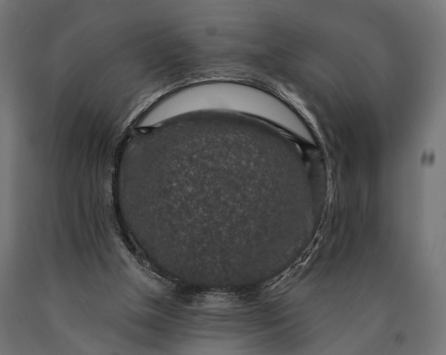 X0000090730154200708031531