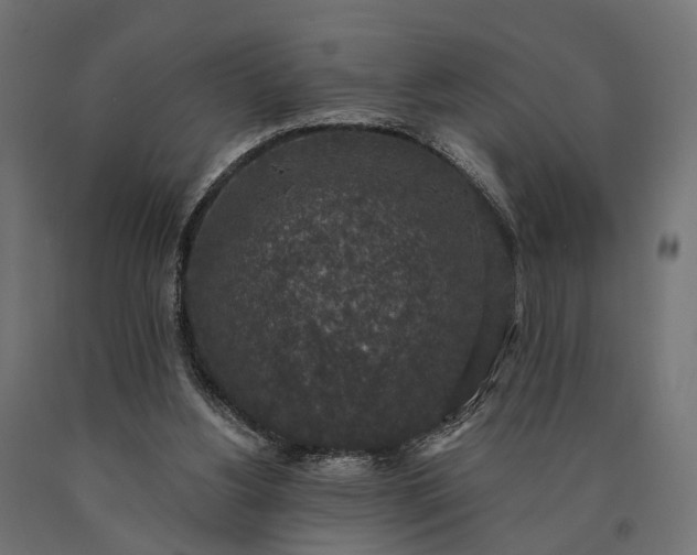 X0000090730156200708031531