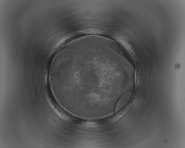 X0000090730157200708031531