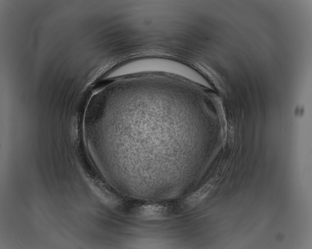 X0000090730158200708031531