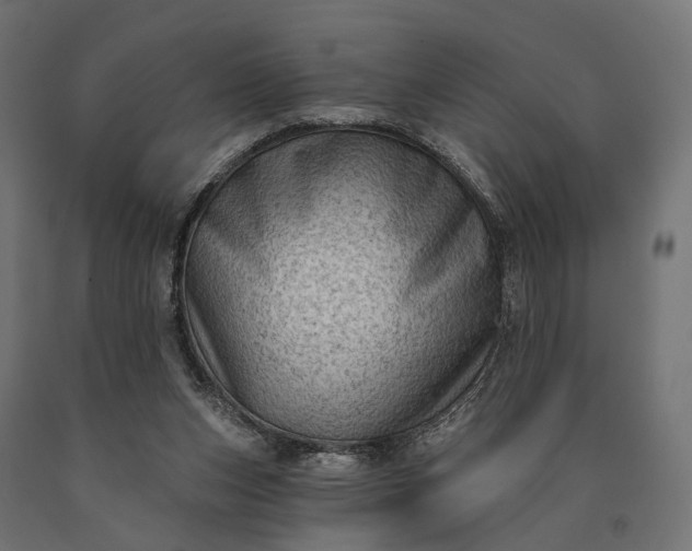 X0000090730159200708031531