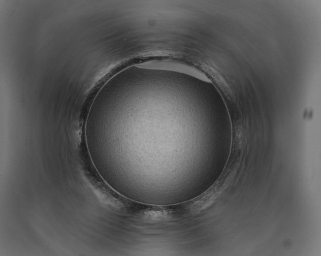 X0000090730160200708031531