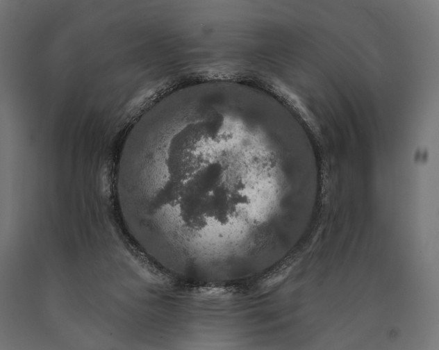 X0000090730161200708031531