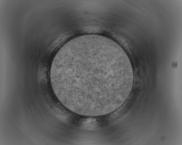 X0000090730162200708031531