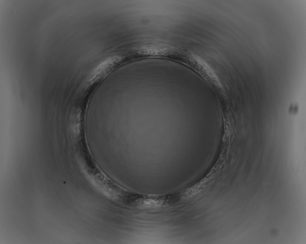 X0000090730163200708031531