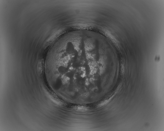 X0000090730165200708031531