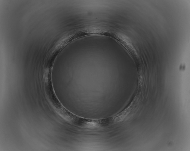 X0000090730167200708031531