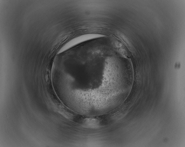 X0000090730169200708031531