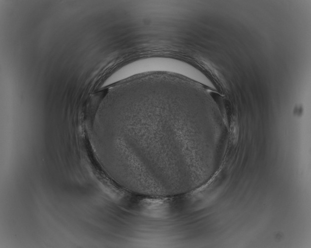 X0000090730170200708031531