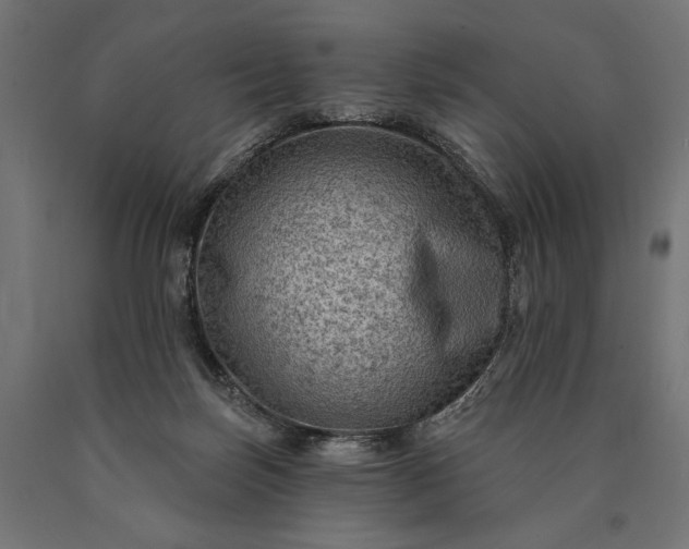 X0000090730171200708031532