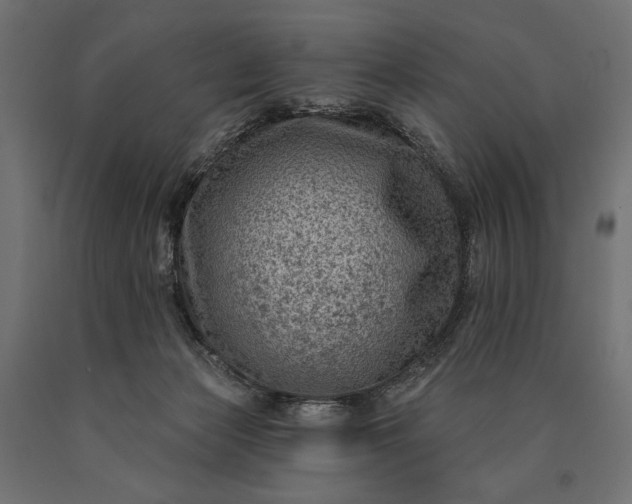 X0000090730173200708031532