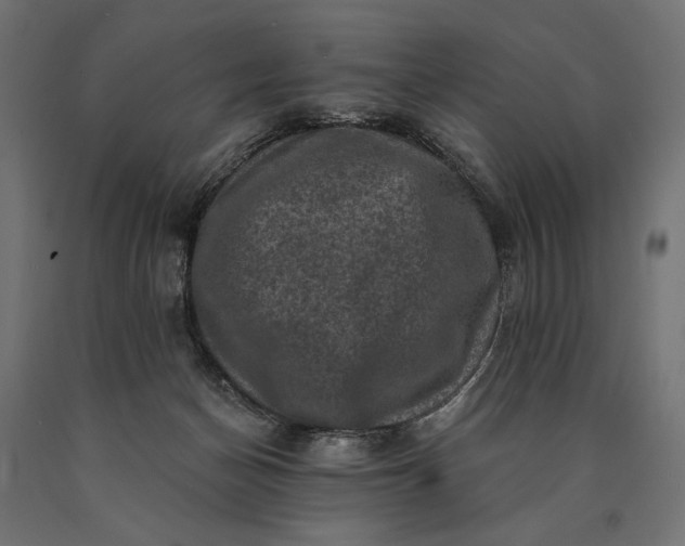 X0000090730174200708031532